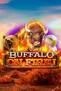 Buffalo on Fire!